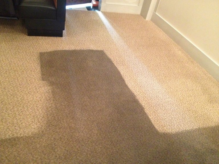 Promaster carpet cleaning