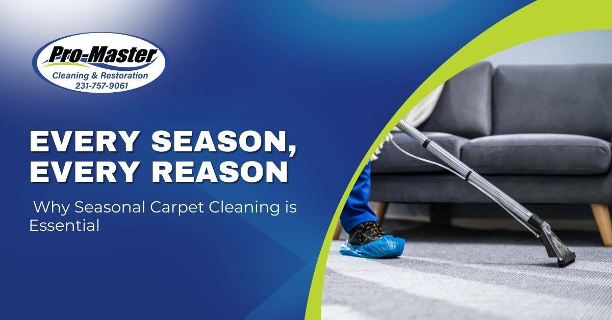 The Person Vacuuming The Carpet With a Couch In The Background | Every Season, Every Reason. Why Seasonal Carpet Cleaning is Essential | Pro-Master Cleaning & Restoration