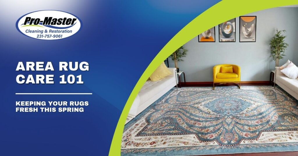 A promotional graphic for Pro-Master Cleaning & Restoration featuring the headline "Area Rug Care 101" and sub-headline "Keeping Your Rugs Fresh This Spring." The left side has a blue gradient background with the Pro-Master logo and contact number, separated by a lime-green curved border. The right side shows a stylish living room with a large, ornate area rug, white sofas, a yellow armchair, and modern decor, emphasizing cleanliness and freshness after spring area rug cleaning.